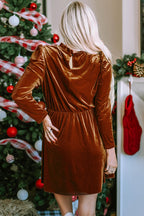 Chestnut Velvet Swing Dress|2191