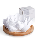 Passive Aromatherapy Flower Diffuser SDH|2852