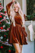 Chestnut Velvet Swing Dress|2190